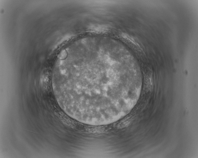 X0000087641254200705241231