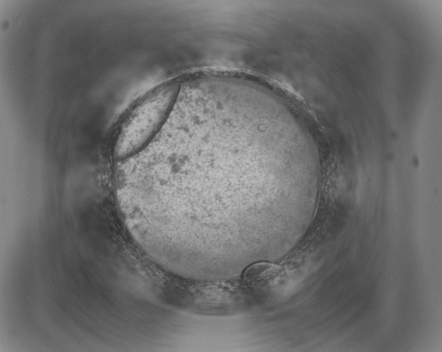 X0000087641255200705241231