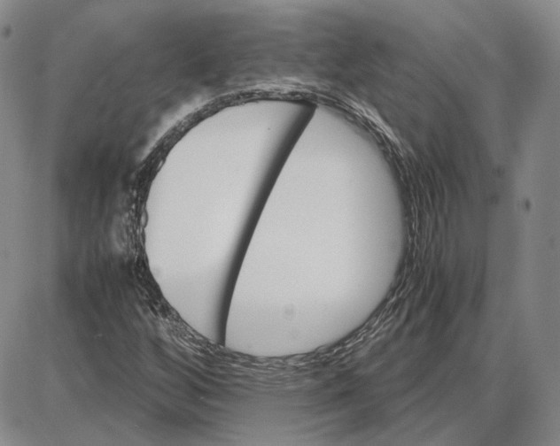 X0000087641256200705241231