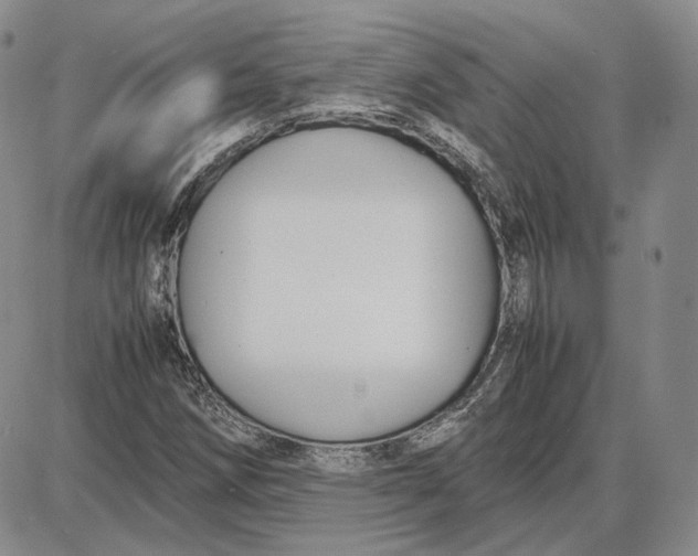 X0000087641258200705241231