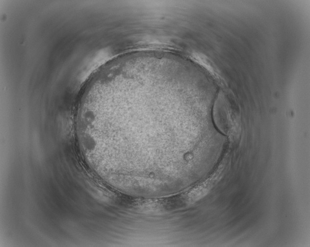 X0000087641259200705241231