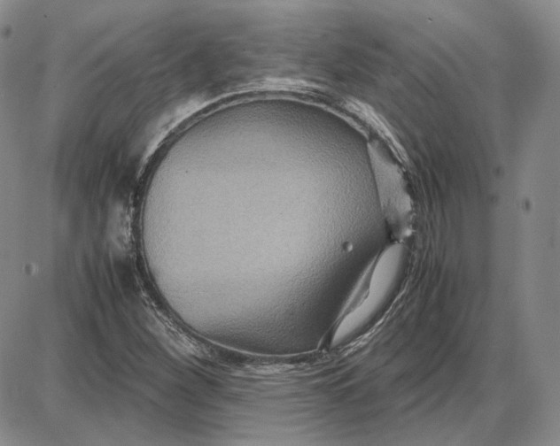 X0000087641260200705241231