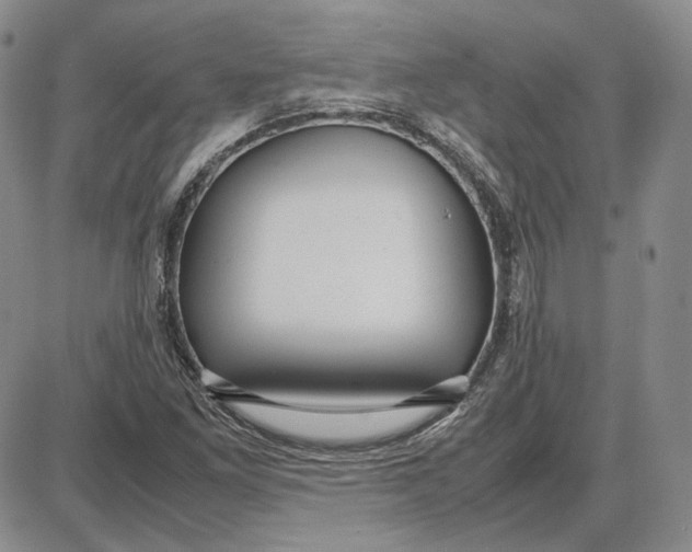 X0000087641261200705241231