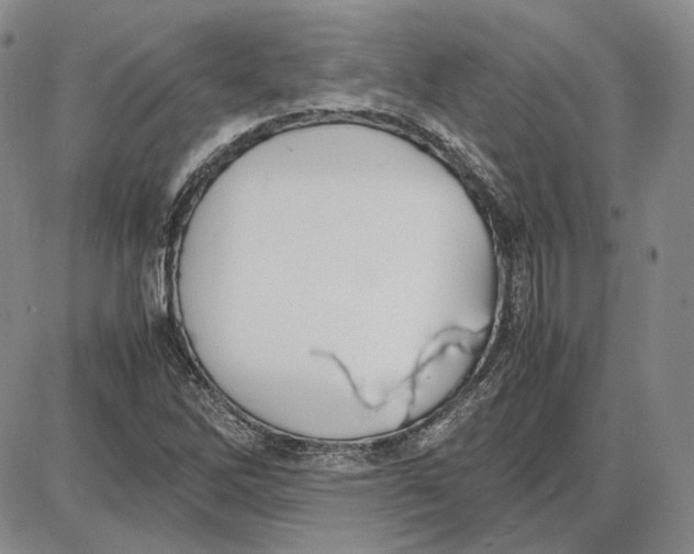 X0000087641262200705241231