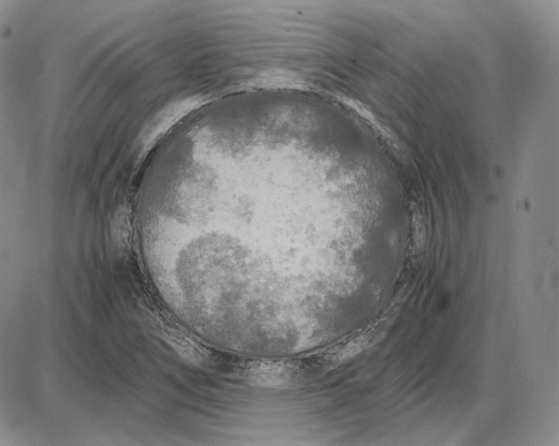 X0000087641266200705241231