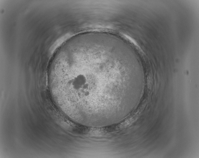 X0000087641267200705241231