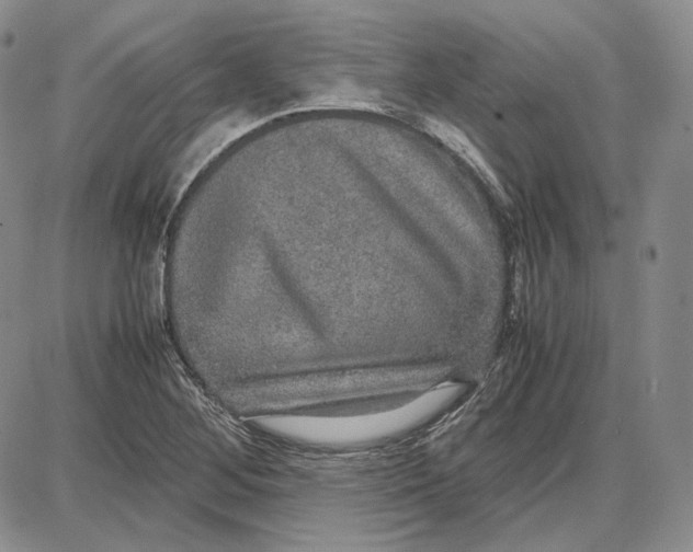 X0000087641268200705241231