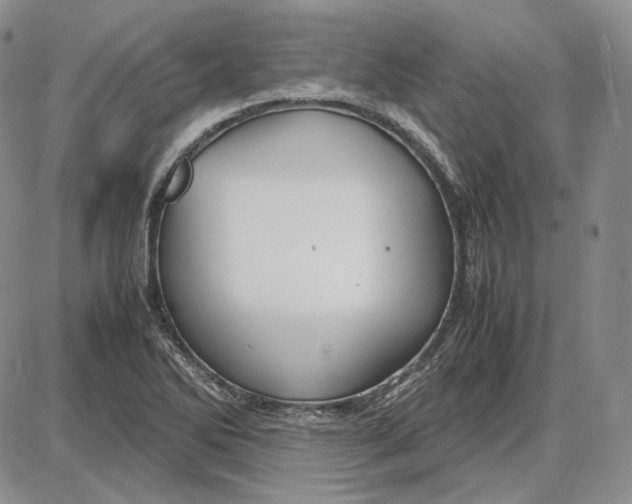 X0000087641270200705241231