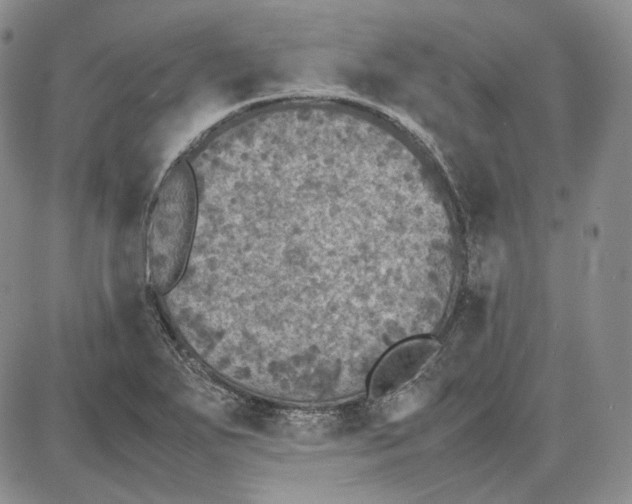 X0000087641271200705241231