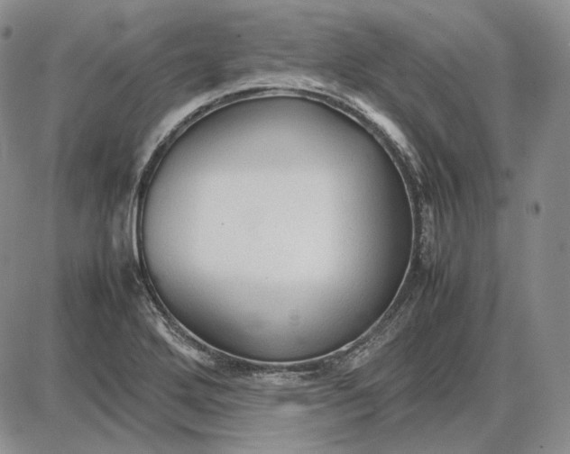 X0000087641272200705241231