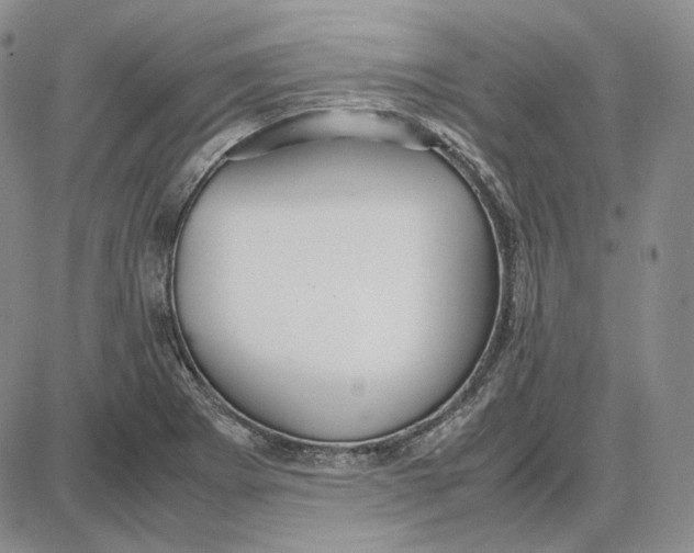 X0000087641273200705241231