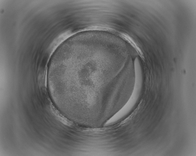 X0000087641276200705241231