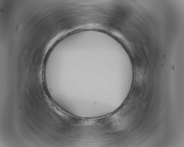 X0000087641278200705241231