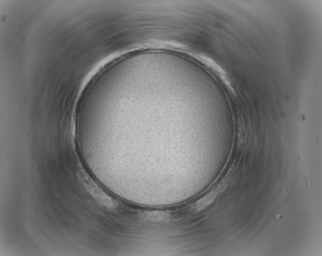 X0000087641280200705241230