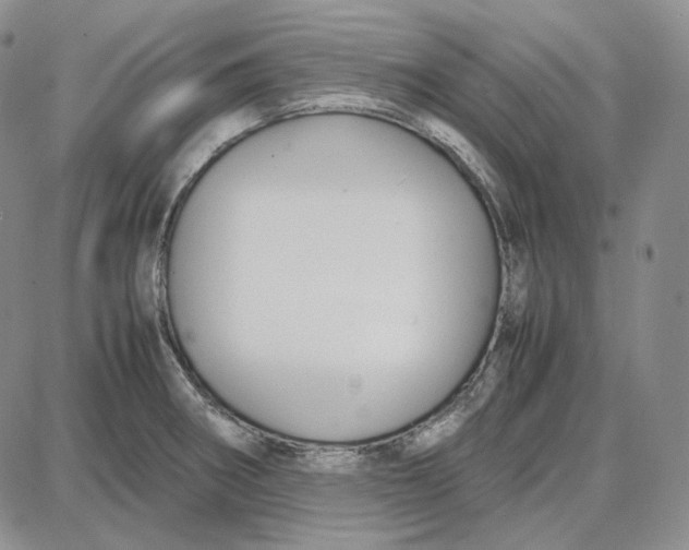 X0000087641282200705241230