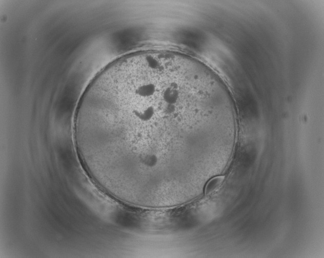 X0000087641283200705241230