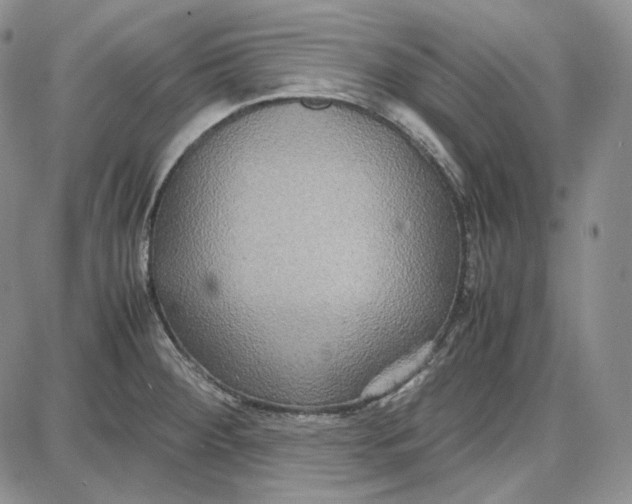 X0000087641284200705241230