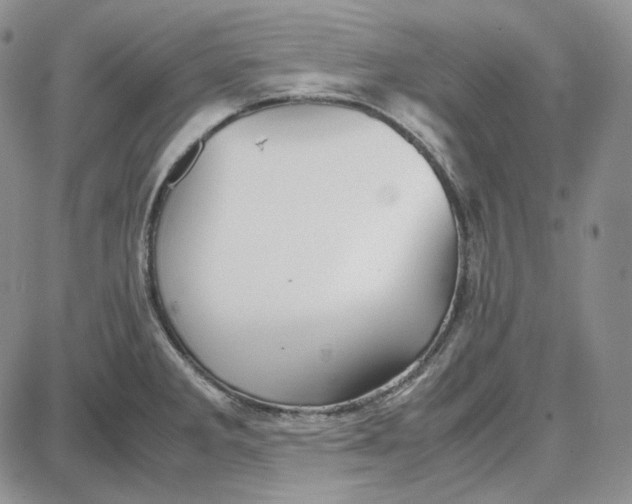 X0000087641285200705241230