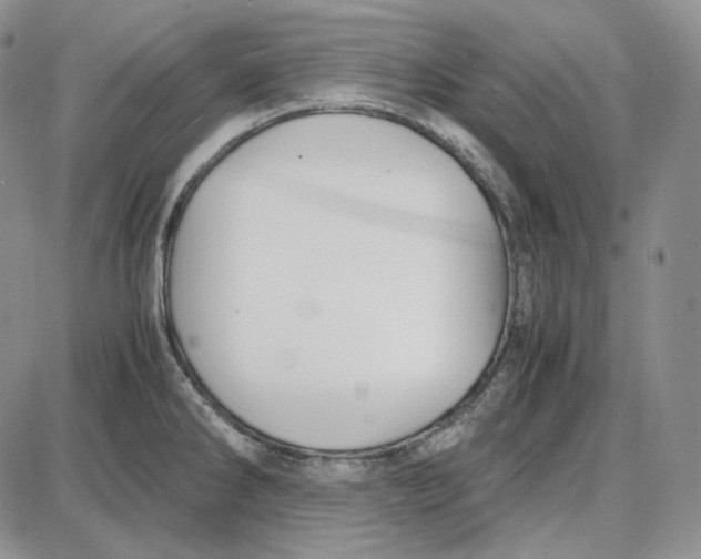 X0000087641286200705241230