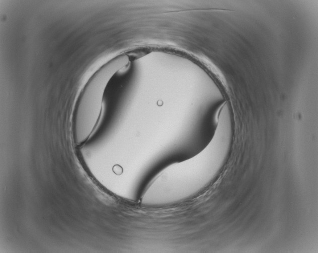 X0000087641287200705241230