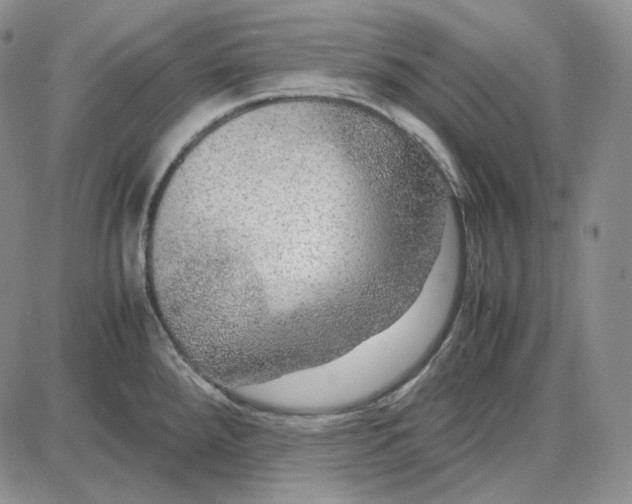 X0000087641288200705241230