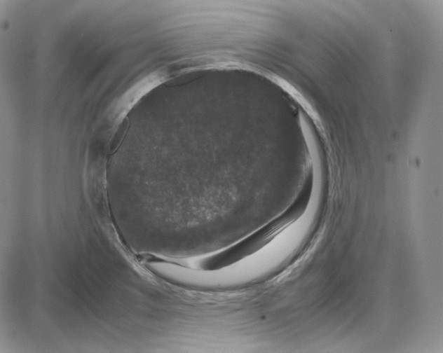 X0000087641289200705241230