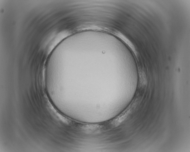 X0000087641290200705241230