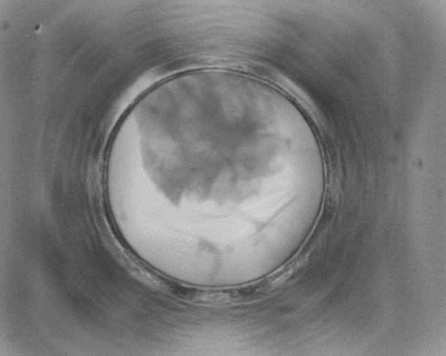 X0000087641291200705241230