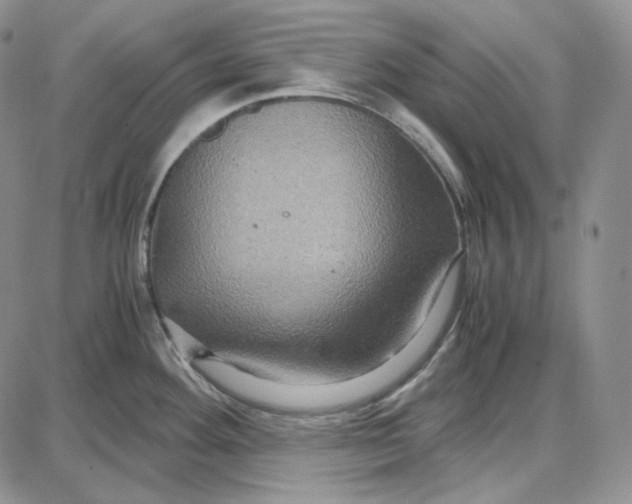 X0000087641292200705241230