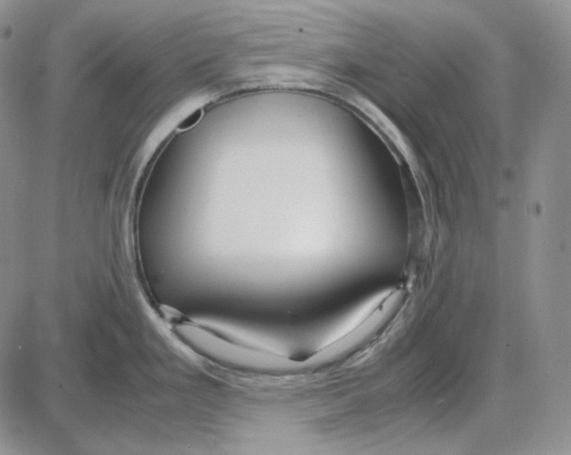 X0000087641293200705241230