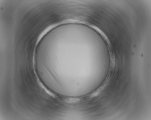 X0000087641294200705241230