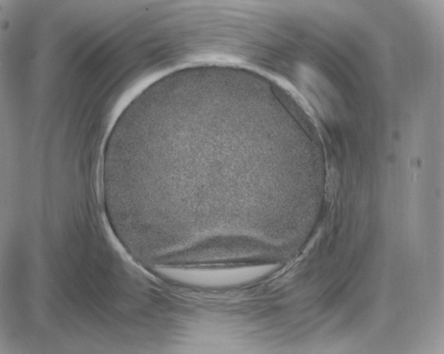 X0000087641295200705241230