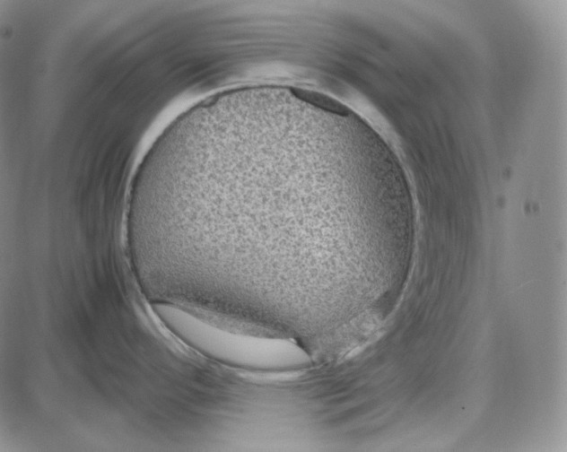 X0000087641296200705241230