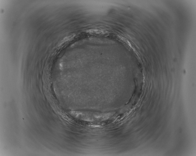 X0000087641297200705241229