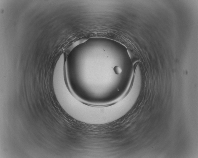 X0000087641298200705241229