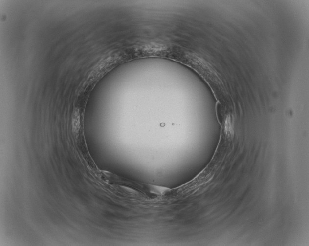 X0000087641299200705241229