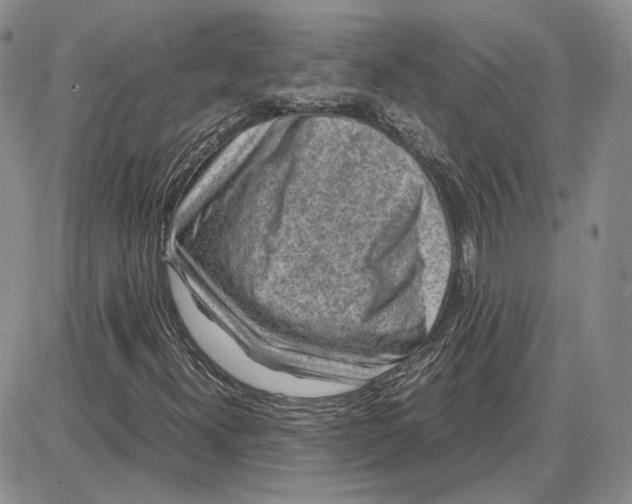 X0000087641300200705241230