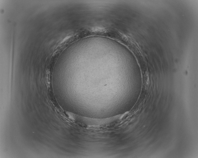 X0000087641301200705241230