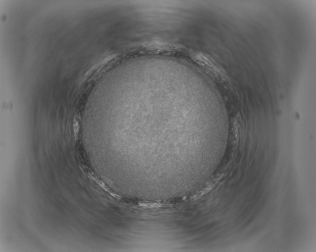 X0000087641302200705241230