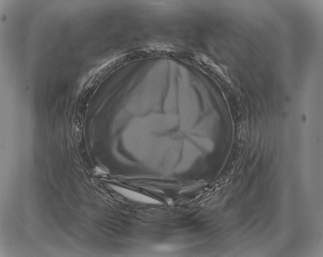 X0000087641303200705241230