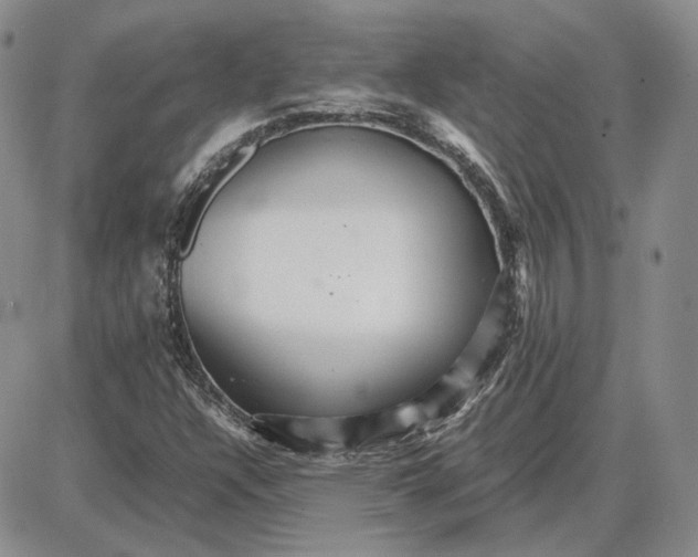 X0000087641304200705241230