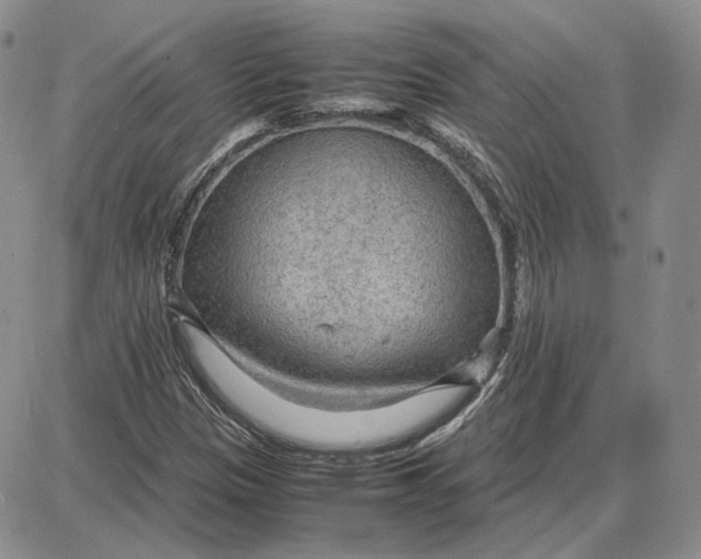 X0000087641305200705241230