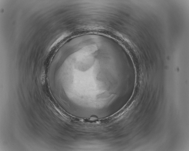 X0000087641306200705241230