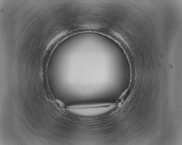 X0000087641307200705241230