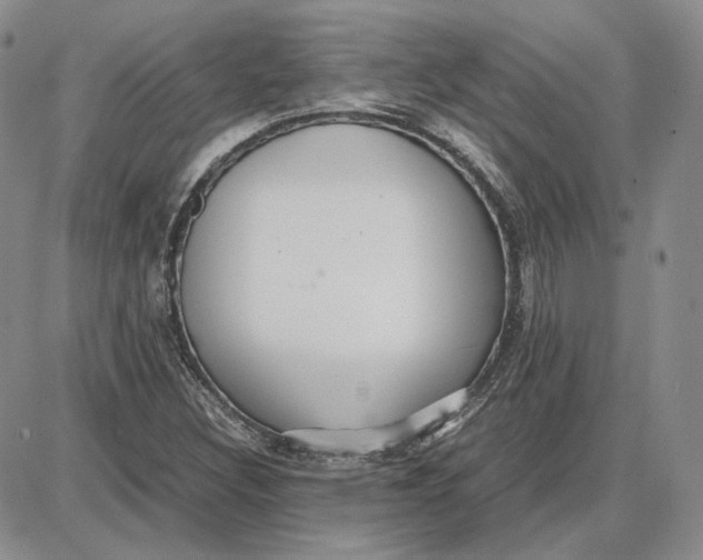 X0000087641308200705241230