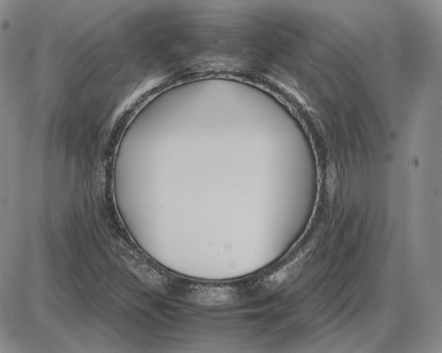 X0000087641309200705241230