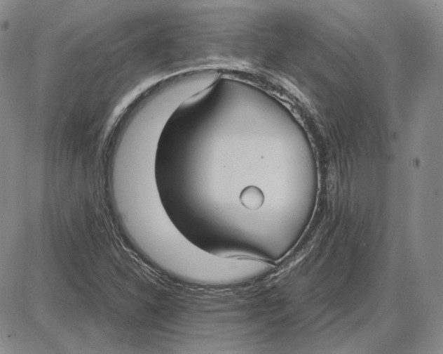 X0000087641310200705241230