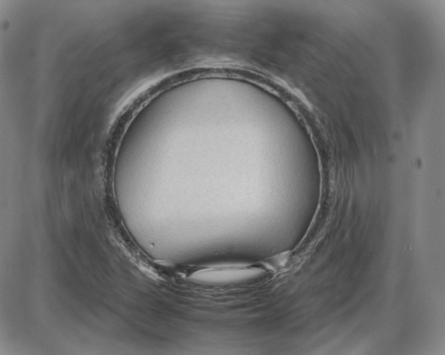 X0000087641311200705241230