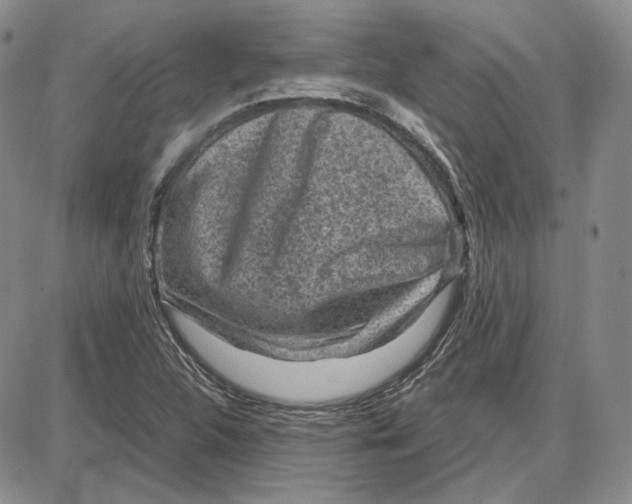 X0000087641312200705241230