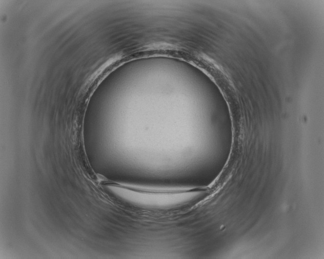 X0000087641313200705241230